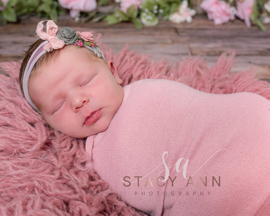 Stacy Ann Photography